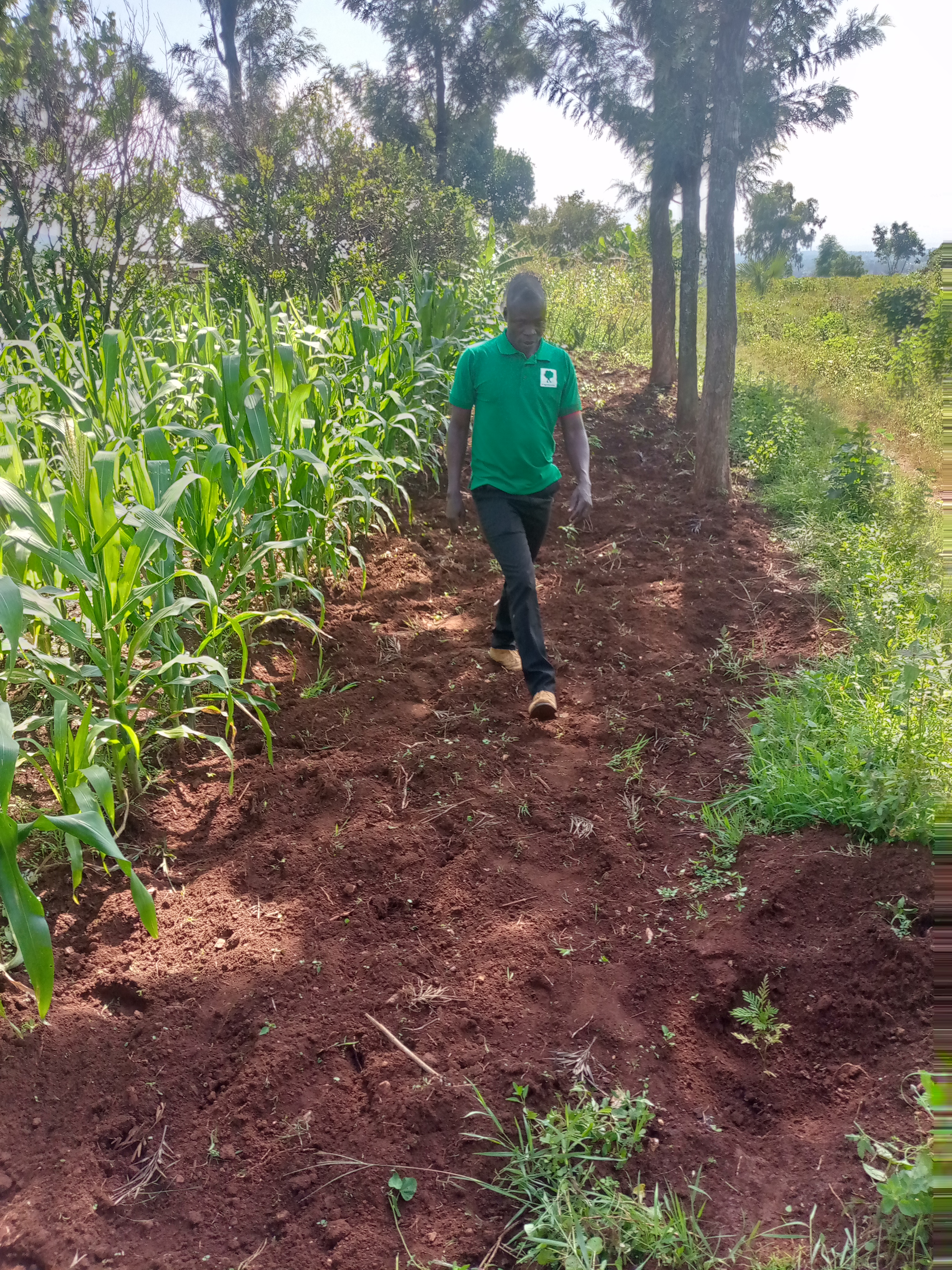 Vincent Dratelevincent