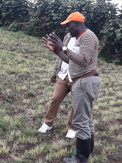 Simpson Twinomucunguzi